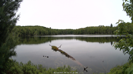 Image from 2025-06-13