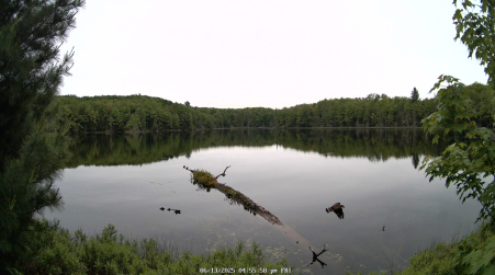 Image from 2025-06-13