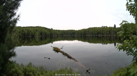 Image from 2025-06-13