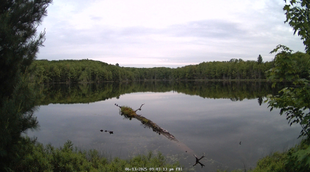 Image from 2025-06-13