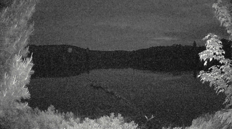 Image from 2025-06-13