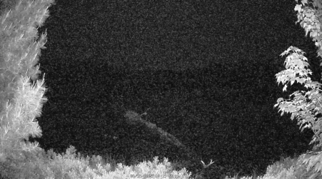 Image from 2025-06-13
