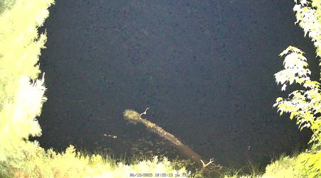 Image from 2025-06-13