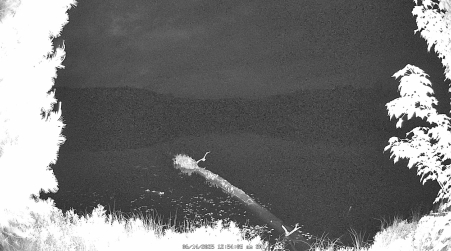 Image from 2025-06-14