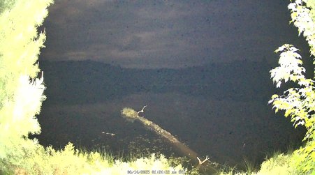 Image from 2025-06-14