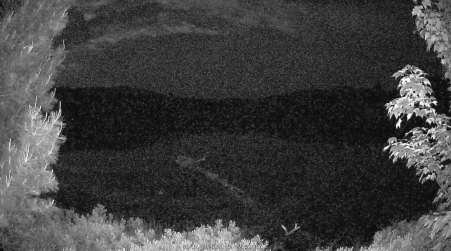 Image from 2025-06-14
