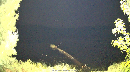 Image from 2025-06-14