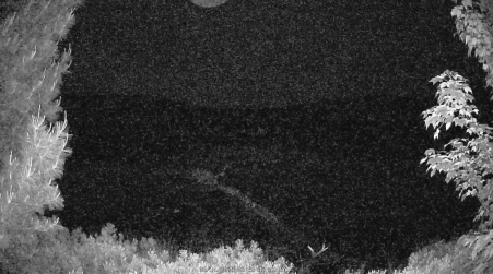 Image from 2025-06-14