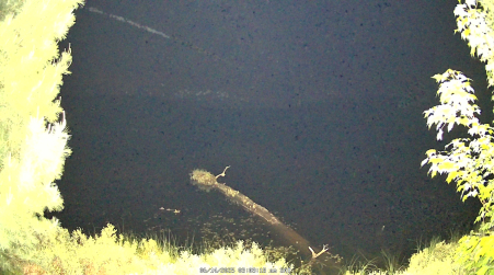 Image from 2025-06-14