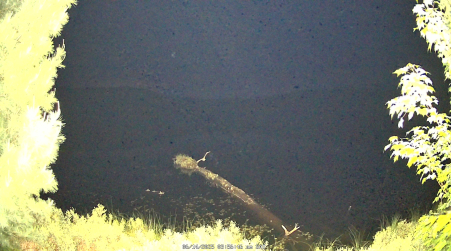 Image from 2025-06-14