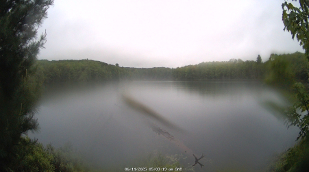 Image from 2025-06-14