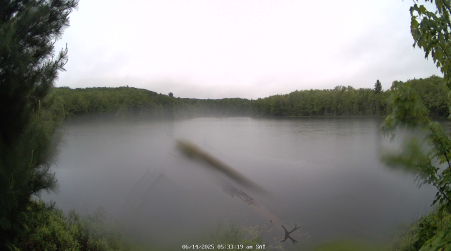 Image from 2025-06-14