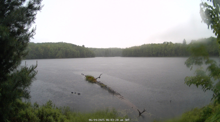 Image from 2025-06-14