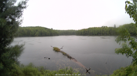 Image from 2025-06-14