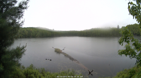 Image from 2025-06-14