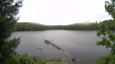 Image from 2025-06-14