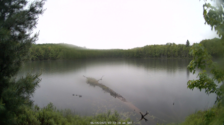 Image from 2025-06-14