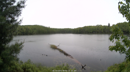Image from 2025-06-14