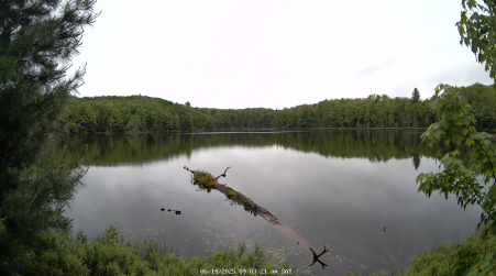 Image from 2025-06-14