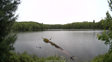 Image from 2025-06-14