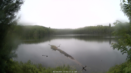 Image from 2025-06-14