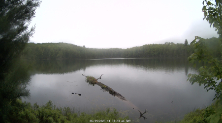 Image from 2025-06-14