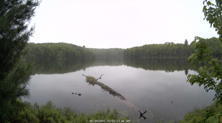 Image from 2025-06-14