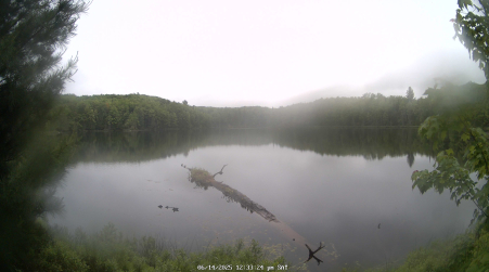 Image from 2025-06-14