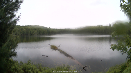 Image from 2025-06-14