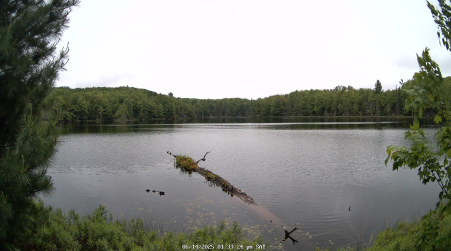 Image from 2025-06-14