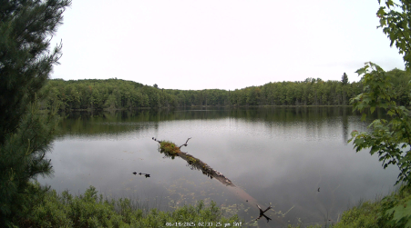 Image from 2025-06-14