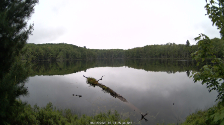 Image from 2025-06-14