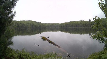 Image from 2025-06-14