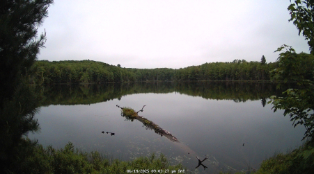 Image from 2025-06-14