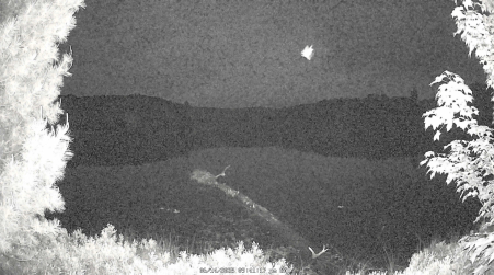 Image from 2025-06-14