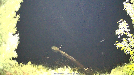 Image from 2025-06-14
