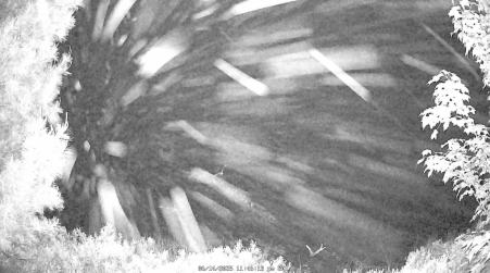 Image from 2025-06-14