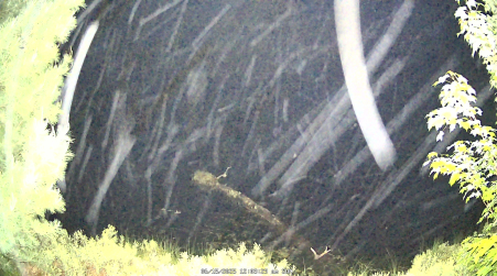 Image from 2025-06-15