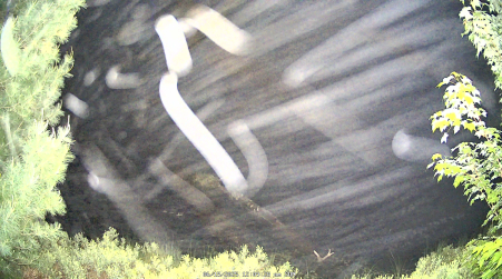 Image from 2025-06-15