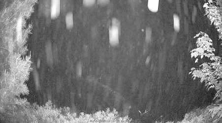 Image from 2025-06-15