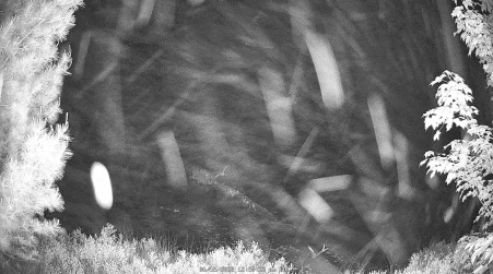 Image from 2025-06-15