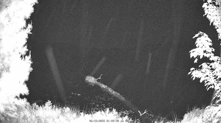 Image from 2025-06-15