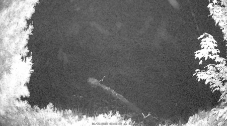Image from 2025-06-15