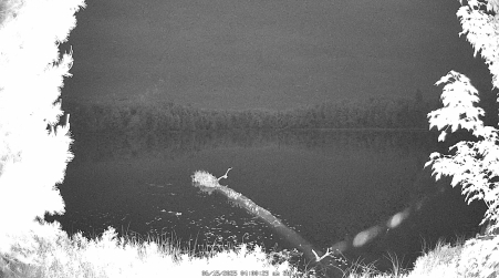 Image from 2025-06-15