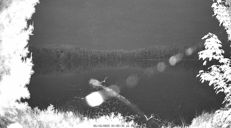 Image from 2025-06-15