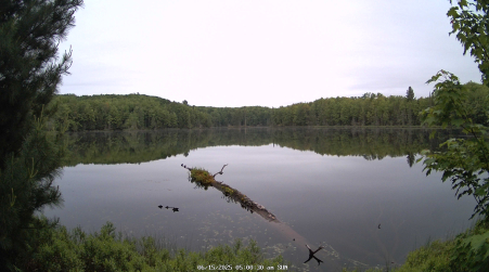 Image from 2025-06-15