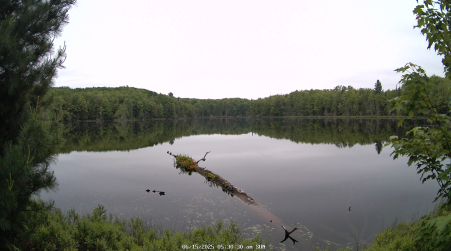 Image from 2025-06-15