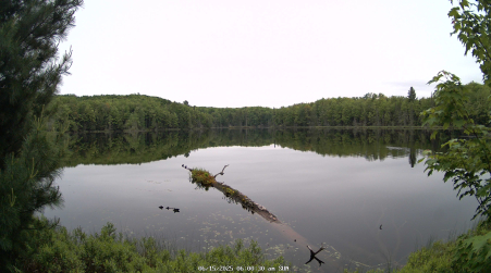 Image from 2025-06-15