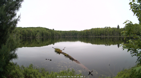 Image from 2025-06-15