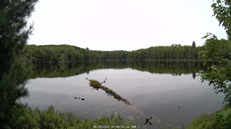 Image from 2025-06-15
